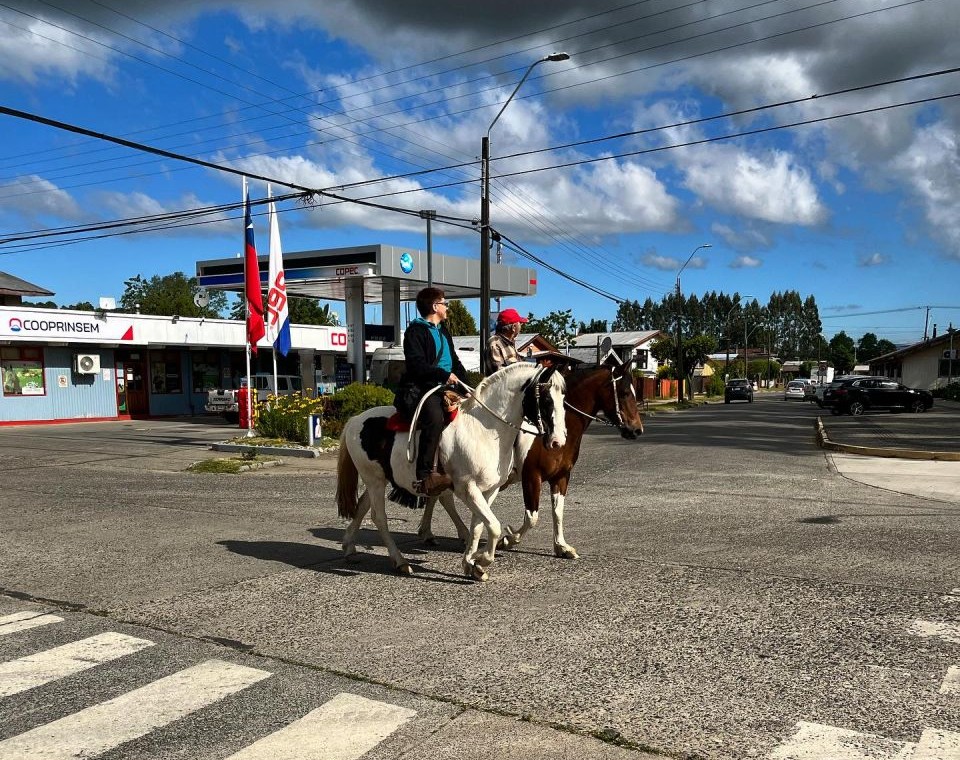 Historia e identidad de Máfil